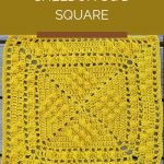Sheldon Sq’d Square - free crochet pattern Pinterest - ILYF
