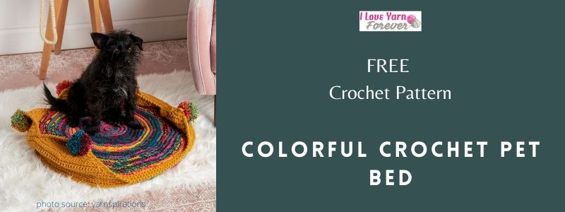 Colorful Crochet Pet Bed featured cover