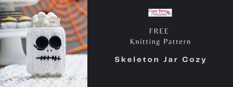 Skeleton Jar Cozy - free knitting pattern ILYF featured cover