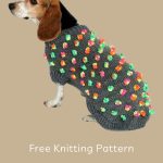 Bobble Kaleidoscope Knit Dog Coat - free knitting pattern Pinterest - ILYF