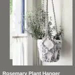 Rosemary Plant Hanger - free crochet pattern - Pinterest - ILYF