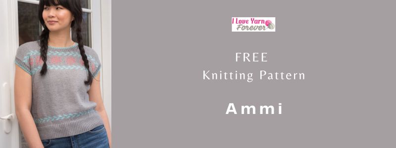 Ammi _free knitting pattern LYF featured cover