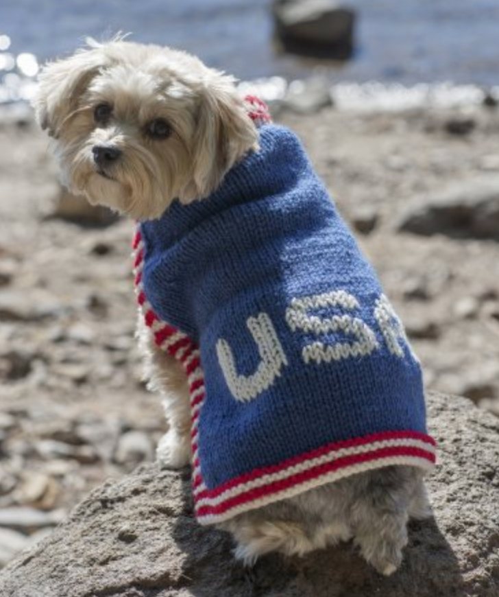 Team USA Dog Sweater - Free Knitting Pattern