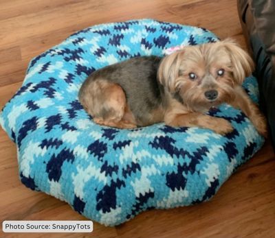Brookie's Pet Bed - free crochet pattern