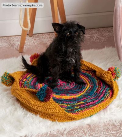 Colorful Pet Bed - free crochet pattern
