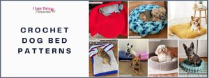 Crochet Dog Bed Patterns roundup ILYF featured cover