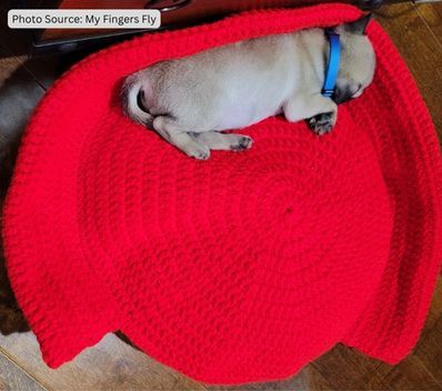 Small Dog Bed - free crochet pattern